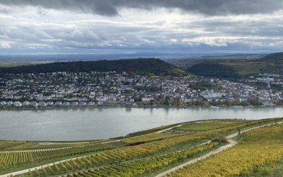 Wie ich 2019 ein hinterlistiges Geschenk machte – und im Rheingau viel über das große Missverständnis „Mineralität“ lernte
