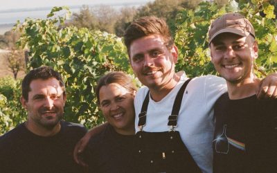 Warum kostet eine Flasche Wein, was sie kostet?