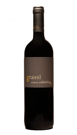 Grassl Rubin Carnntum
